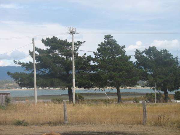 RURAL ALLOTMENT
OFFERS OVER $250,000 Picture 1