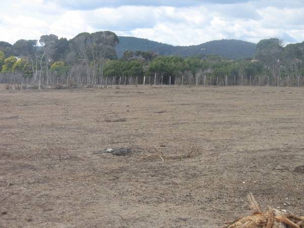 RURAL ALLOTMENT
OFFERS OVER $250,000 Picture 3