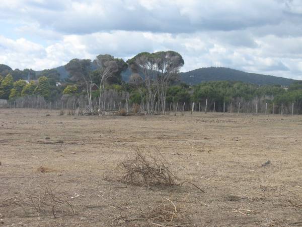 RURAL ALLOTMENT
OFFERS OVER $250,000 Picture 2
