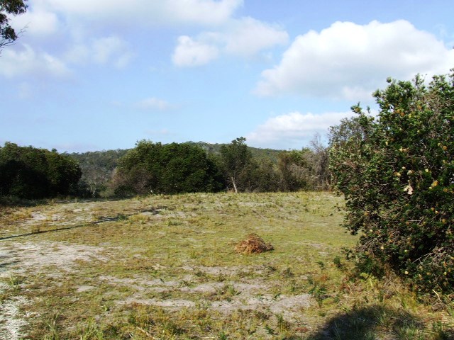 Vacant Block - Bellingham Picture 2