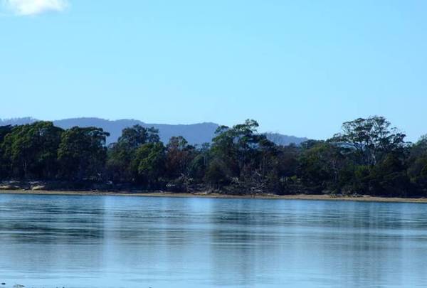 Vacant Land
-
1.22 hectares
$97,500 Picture 3