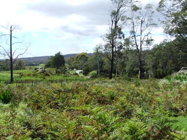 Attention 1st Home Buyers... Reduced for Quick Sale!
$28,500 Picture