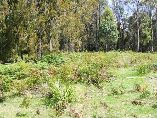 Attention 1st Home Buyers... Reduced for Quick Sale!
$28,500 Picture