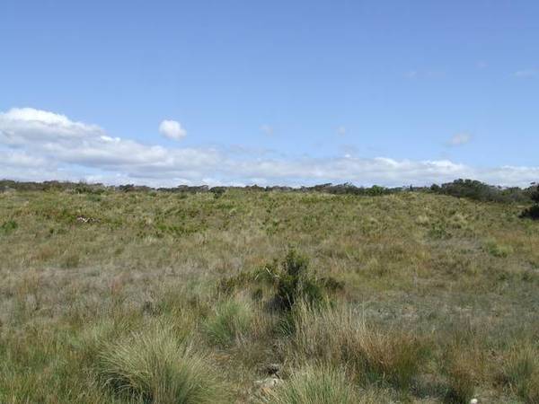 Build By The Seaside!
$120,000 Picture 3