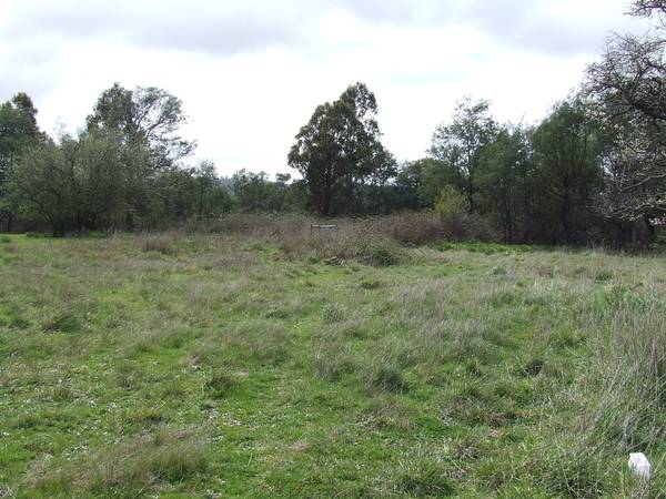 Large Allotment
- Beaconsfield
$35,000 Picture 1