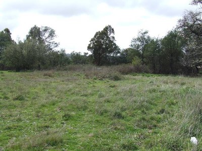 Large Allotment
- Beaconsfield
$35,000 Picture