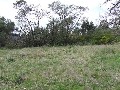 Large Allotment
- Beaconsfield
$35,000 Picture