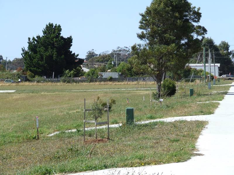 Vacant Allotments - Beauty Point
Offers Over $55,000 Picture 1