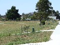 Vacant Allotments - Beauty Point
Offers Over $55,000 Picture