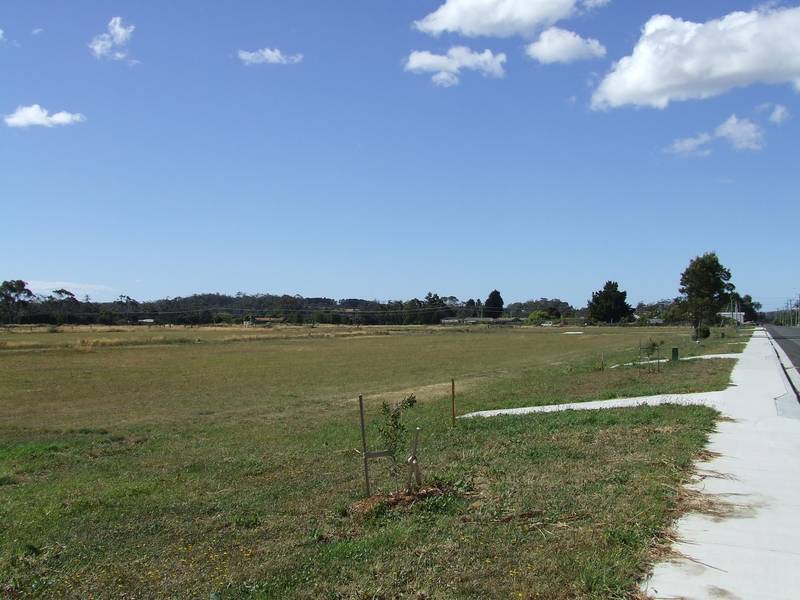 Vacant Allotments - Beauty Point
Offers Over $55,000 Picture 3