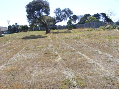 5
( Lot 3 )
William Parish Drive, Low Head Picture