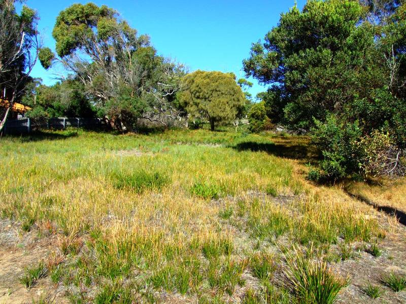 Water Views !
Vacant Land Greens Beach
$140,000 Picture 2