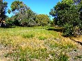 Water Views !
Vacant Land Greens Beach
$140,000 Picture