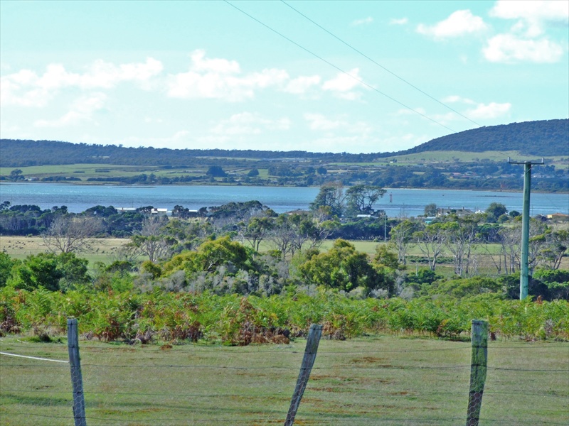 Kelso's Best Kept Secret!
Offers Over $245,000 considered Picture 1