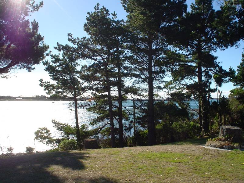 Room to Move & Gorgeous View! Picture 2