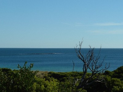 REDUCED...............Gaze out to the water and beyond from this magnificent block of land. Picture