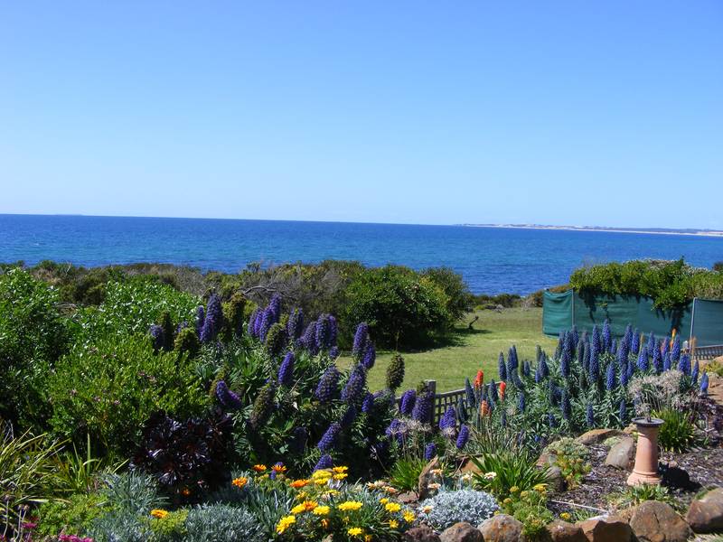 Reduced To Sell.............Ocean Frontage With Uninterupted Views! Picture 2