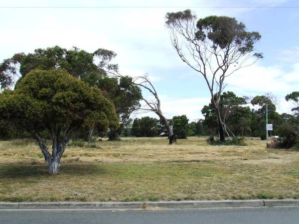 Large Vacant
Allotment - George Town - $240,000 Picture 1