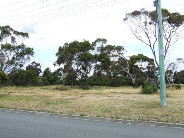 Large Vacant
Allotment - George Town - $240,000 Picture 3