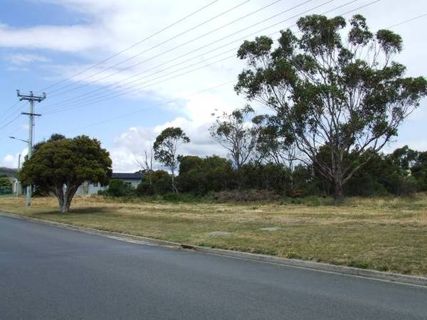 Large Vacant
Allotment - George Town - $240,000 Picture 2