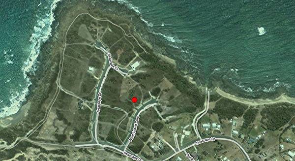 Success story of the North - Tamo'shanter. Picture 1