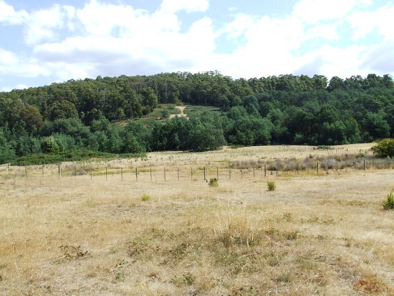 VENDORS MUST SELL NOW!
$85,000 Picture 2