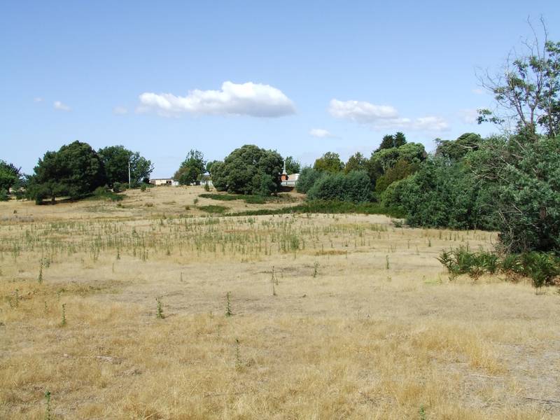 VENDORS MUST SELL NOW!
$85,000 Picture 1