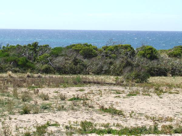 Water Views Forever!
$180,000 Picture 2