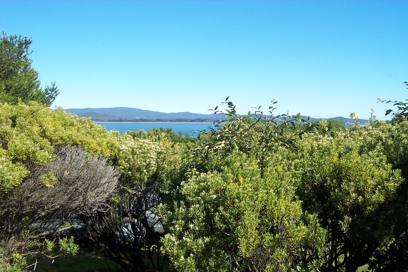 Hop, Skip & a Jump to the Beach! Picture 2