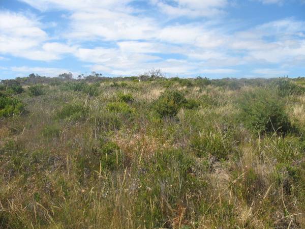 SELL SELL SELL, OFFERS CONSIDERED! Picture 3