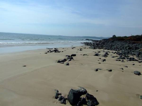 WOW
:-)
Lot 4 929 Weymouth Road
|
Weymouth Picture 3