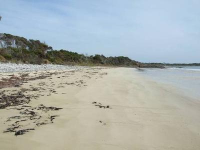 WOW
:-)
Lot 4 929 Weymouth Road
|
Weymouth Picture