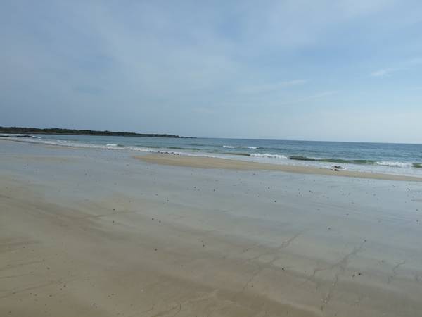 Timber cabin on the waterfront. Picture 2