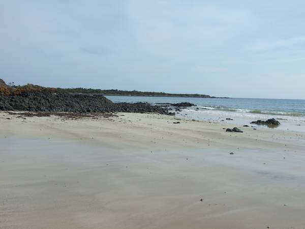 Timber cabin on the waterfront. Picture 3