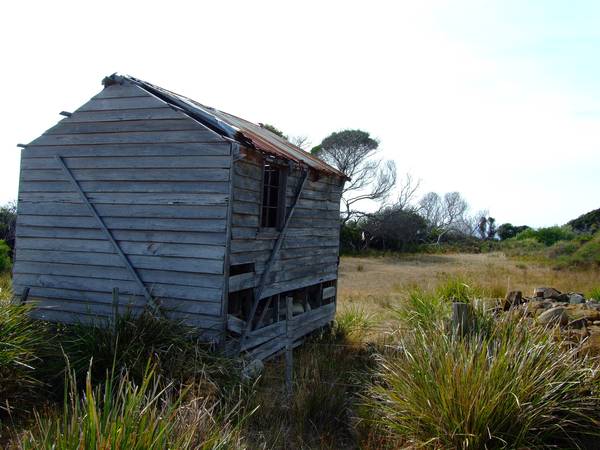 Timber cabin on the waterfront. Picture 1
