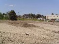 Quality Office/Showroom/Yard Rocklea Picture