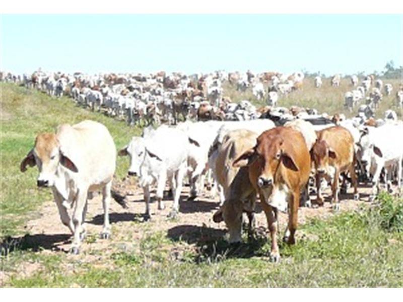 Uramo Station in a MUST SELL IMMEDIATELY situation Picture 3