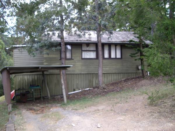 BUSH SETTING IN THE CITY!!! Picture 1