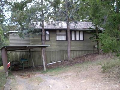 BUSH SETTING IN THE CITY!!! Picture