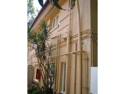 CASH COW Picture CASH COW Picture