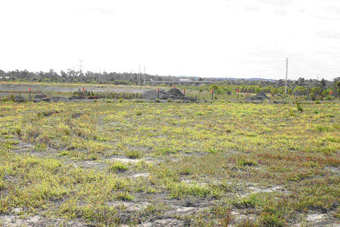 Development Land Picture 1
