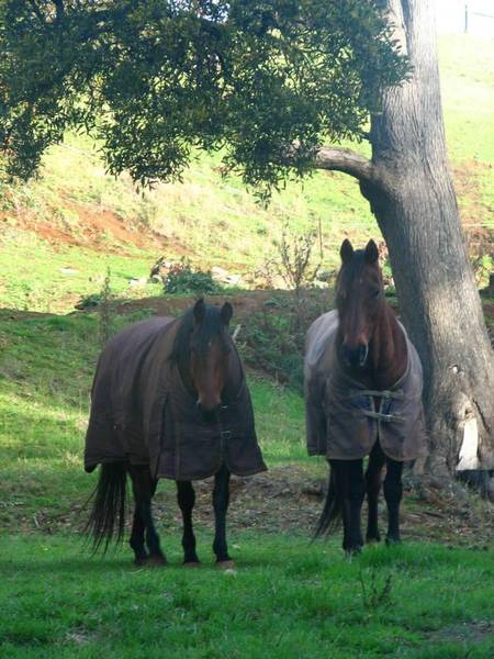 NOW YOU DONT HAVE TO DREAM OF LIVING IN A RURAL SETTING - YOU WILL BE ! Picture 2