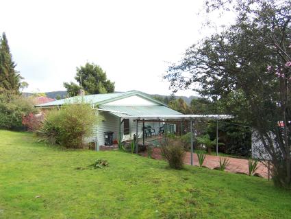 ABSOLUTE BEACHFRONT Picture 1