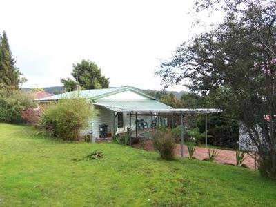 ABSOLUTE BEACHFRONT Picture ABSOLUTE BEACHFRONT Picture