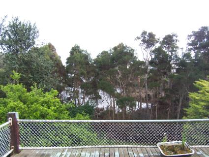 ABSOLUTE BEACHFRONT Picture 3