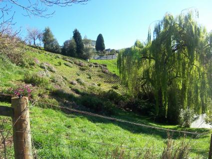 PRIVATE 3/4 ACRE BUILDING BLOCK Picture 1