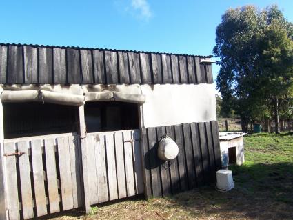 YOUR OWN SADDLE & SPA CLUB IS.... Picture 2