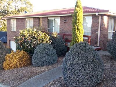 Too Good To Miss Picture Too Good To Miss Picture