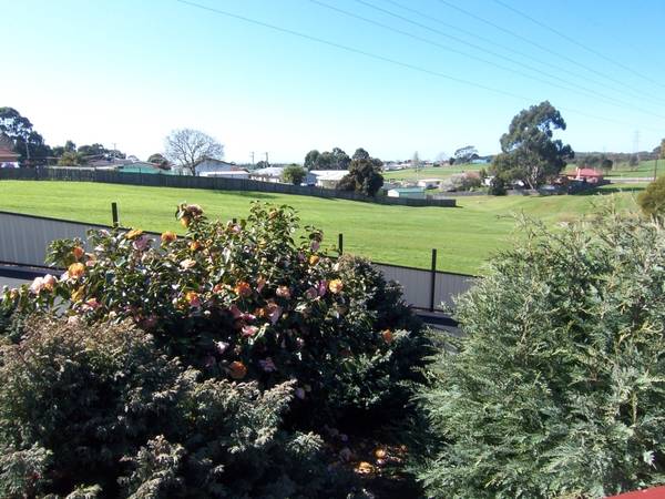 Too Good To Miss Picture 2