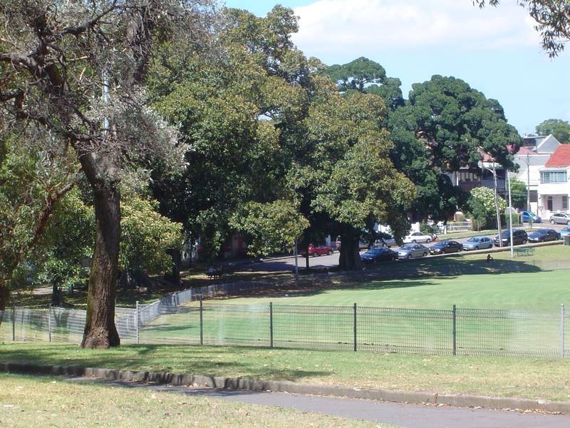 AN ABSOLUTE CHARMER Picture